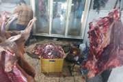 میاندواب : کشف و ضبط و معدوم سازی یک ونیم تن گوشت غیر مجاز دام حاصل از کشتار غیر مجاز 